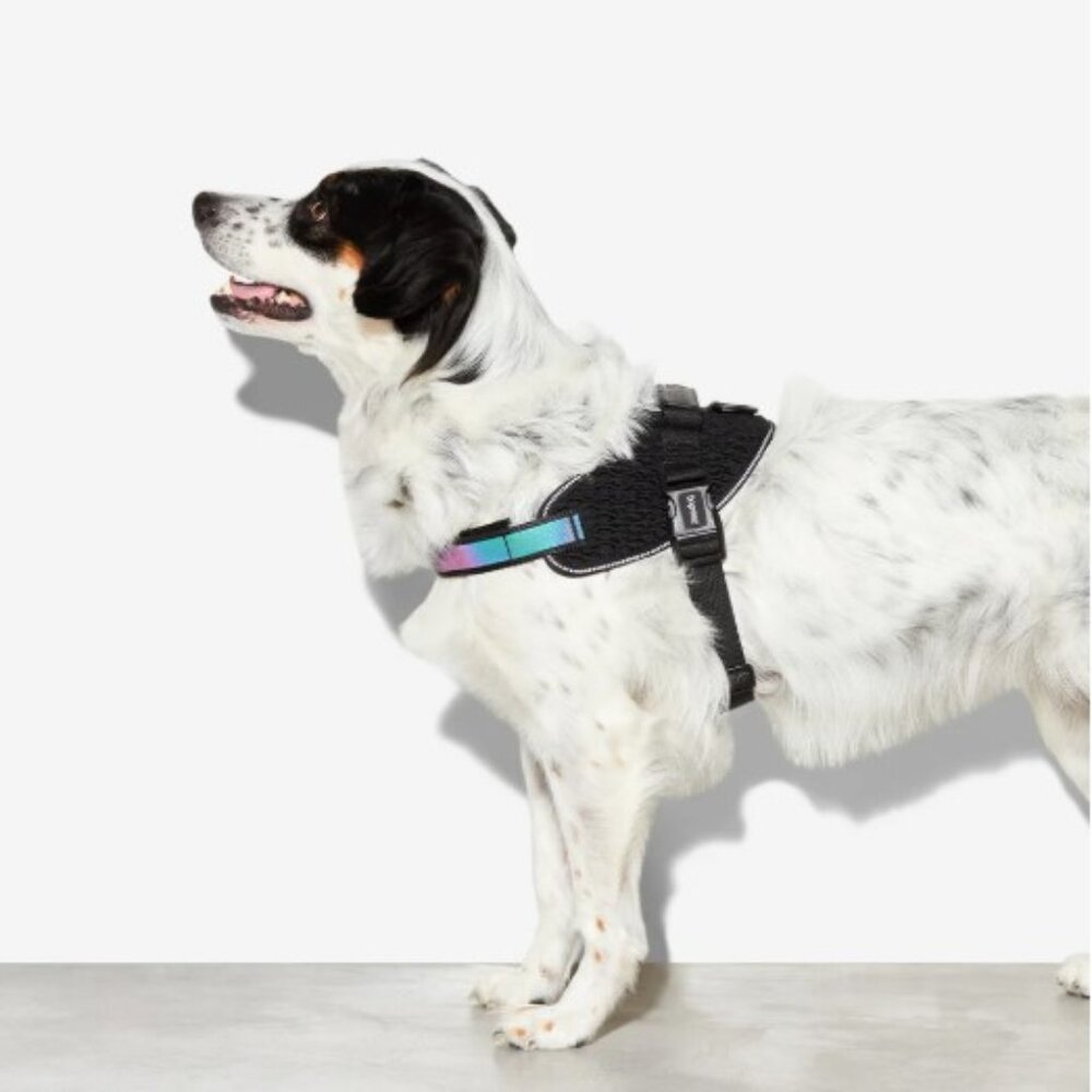 Zee Dog Fly Harness- Size 2